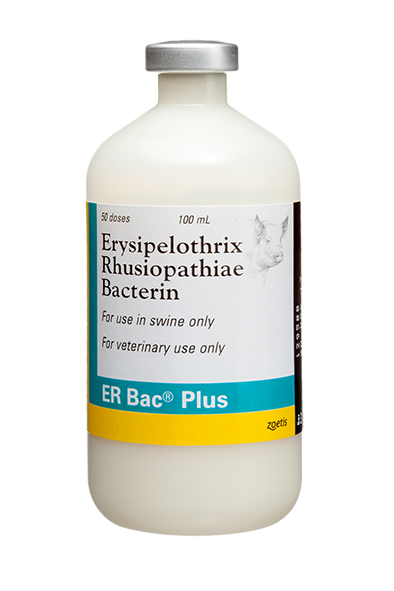 碩騰新豬丹毒不活化菌苗