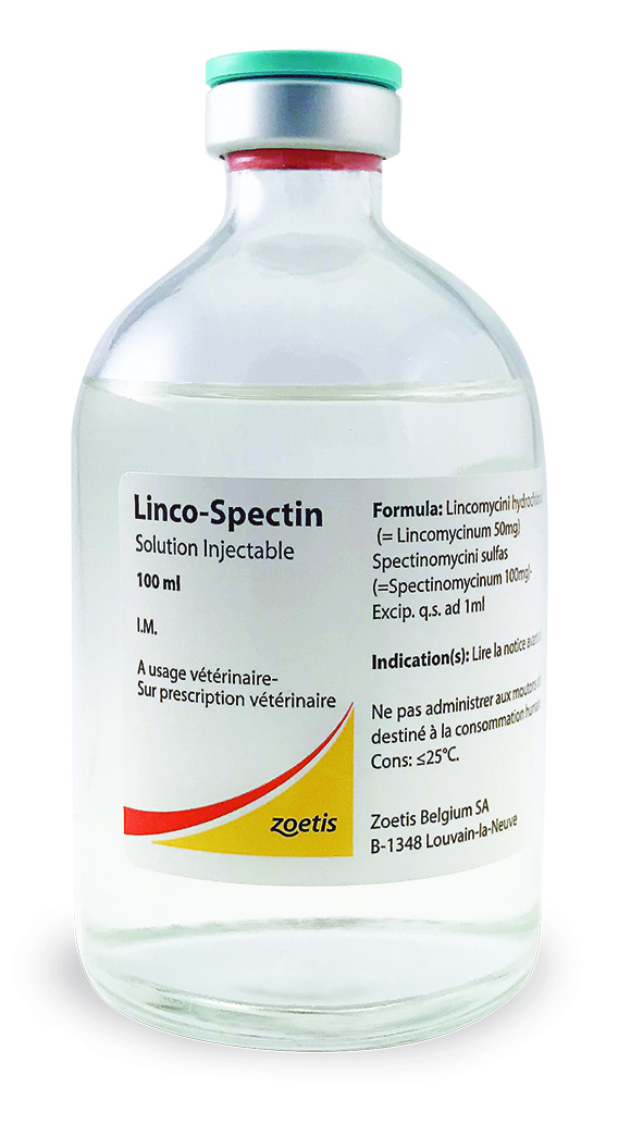 賜肥金<sup>®</sup>注射液