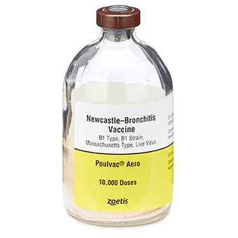 碩騰雞新城病、傳染性支氣管炎活毒混合疫苗
