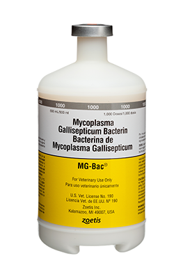 碩騰雞慢性呼吸器病不活化菌苗(油質)