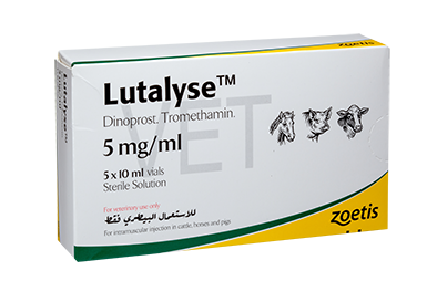 律胎素<sup>®</sup>